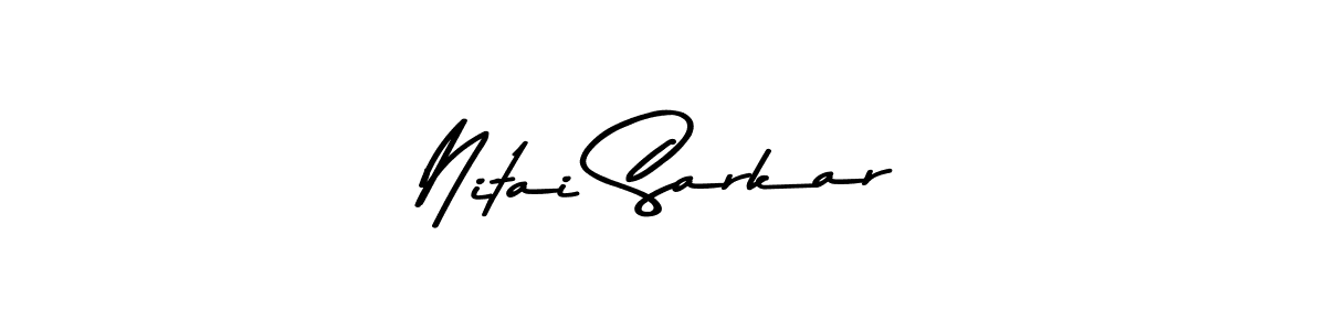 Make a beautiful signature design for name Nitai Sarkar. Use this online signature maker to create a handwritten signature for free. Nitai Sarkar signature style 9 images and pictures png