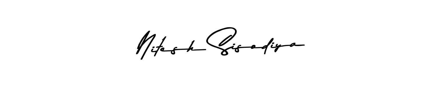 You should practise on your own different ways (Asem Kandis PERSONAL USE) to write your name (Nitesh Sisodiya) in signature. don't let someone else do it for you. Nitesh Sisodiya signature style 9 images and pictures png