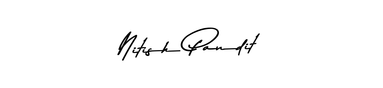 Here are the top 10 professional signature styles for the name Nitish Pandit. These are the best autograph styles you can use for your name. Nitish Pandit signature style 9 images and pictures png