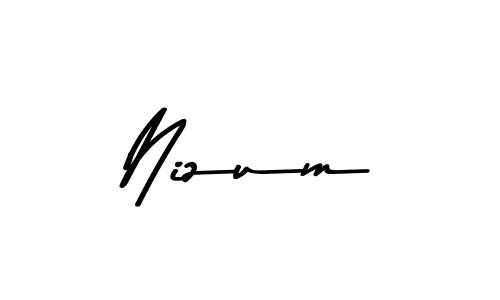 How to make Nizum signature? Asem Kandis PERSONAL USE is a professional autograph style. Create handwritten signature for Nizum name. Nizum signature style 9 images and pictures png