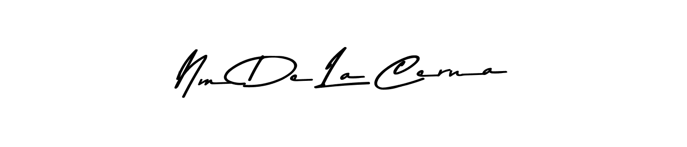 You should practise on your own different ways (Asem Kandis PERSONAL USE) to write your name (Nm De La Cerna) in signature. don't let someone else do it for you. Nm De La Cerna signature style 9 images and pictures png