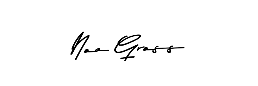 You should practise on your own different ways (Asem Kandis PERSONAL USE) to write your name (Noa Gross) in signature. don't let someone else do it for you. Noa Gross signature style 9 images and pictures png