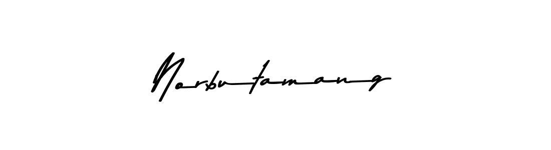 You can use this online signature creator to create a handwritten signature for the name Norbutamang. This is the best online autograph maker. Norbutamang signature style 9 images and pictures png