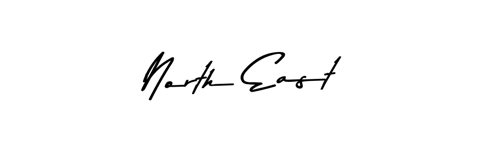 North East stylish signature style. Best Handwritten Sign (Asem Kandis PERSONAL USE) for my name. Handwritten Signature Collection Ideas for my name North East. North East signature style 9 images and pictures png