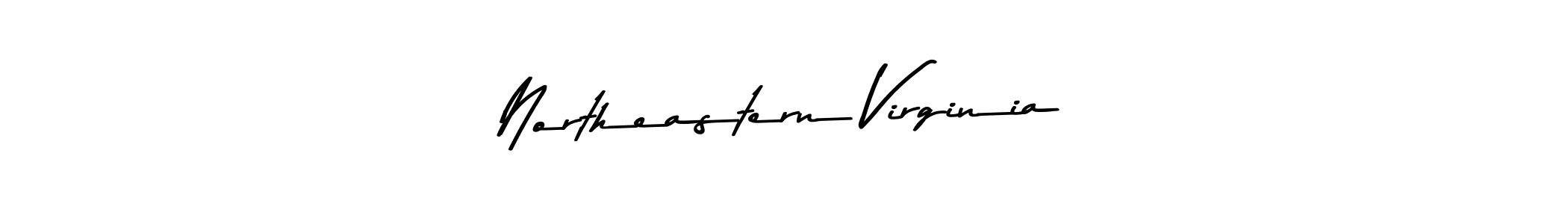 This is the best signature style for the Northeastern Virginia name. Also you like these signature font (Asem Kandis PERSONAL USE). Mix name signature. Northeastern Virginia signature style 9 images and pictures png