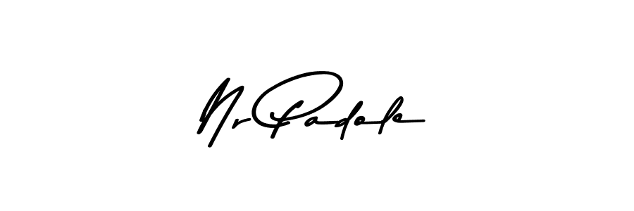 Similarly Asem Kandis PERSONAL USE is the best handwritten signature design. Signature creator online .You can use it as an online autograph creator for name Nr Padole. Nr Padole signature style 9 images and pictures png