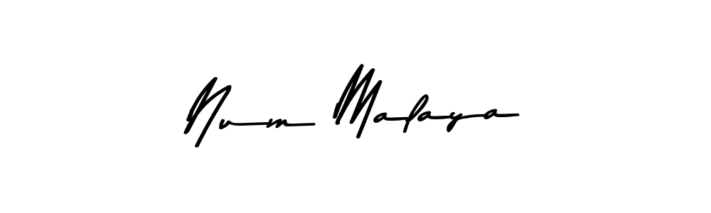 Similarly Asem Kandis PERSONAL USE is the best handwritten signature design. Signature creator online .You can use it as an online autograph creator for name Num Malaya. Num Malaya signature style 9 images and pictures png