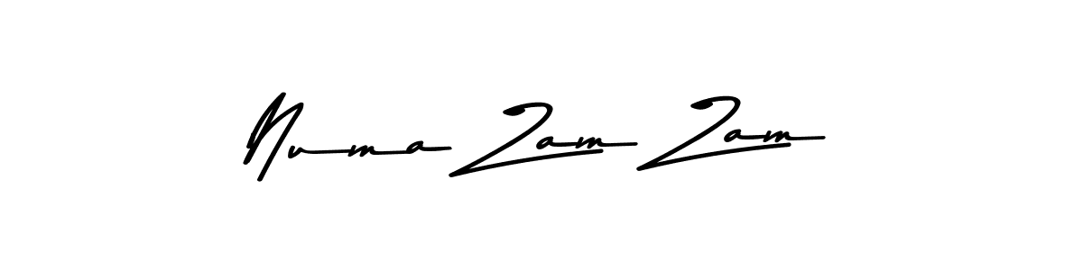 The best way (Asem Kandis PERSONAL USE) to make a short signature is to pick only two or three words in your name. The name Numa Zam Zam include a total of six letters. For converting this name. Numa Zam Zam signature style 9 images and pictures png