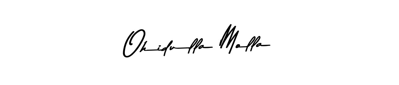 Similarly Asem Kandis PERSONAL USE is the best handwritten signature design. Signature creator online .You can use it as an online autograph creator for name Ohidulla Molla. Ohidulla Molla signature style 9 images and pictures png