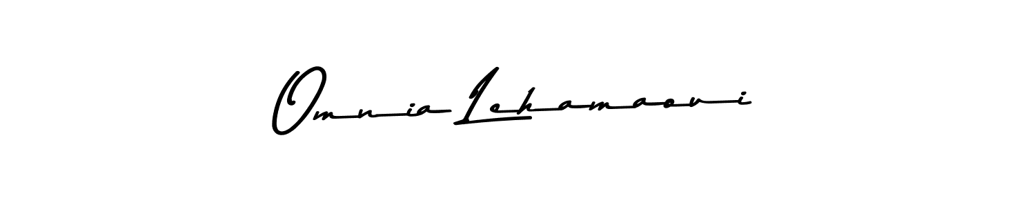 You should practise on your own different ways (Asem Kandis PERSONAL USE) to write your name (Omnia Lehamaoui) in signature. don't let someone else do it for you. Omnia Lehamaoui signature style 9 images and pictures png