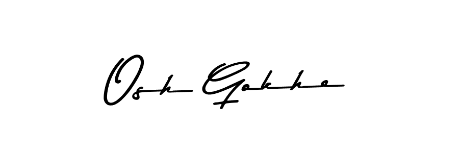 You should practise on your own different ways (Asem Kandis PERSONAL USE) to write your name (Osh Gokhe) in signature. don't let someone else do it for you. Osh Gokhe signature style 9 images and pictures png