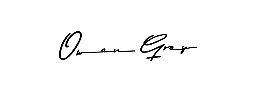 You should practise on your own different ways (Asem Kandis PERSONAL USE) to write your name (Owen Grey) in signature. don't let someone else do it for you. Owen Grey signature style 9 images and pictures png