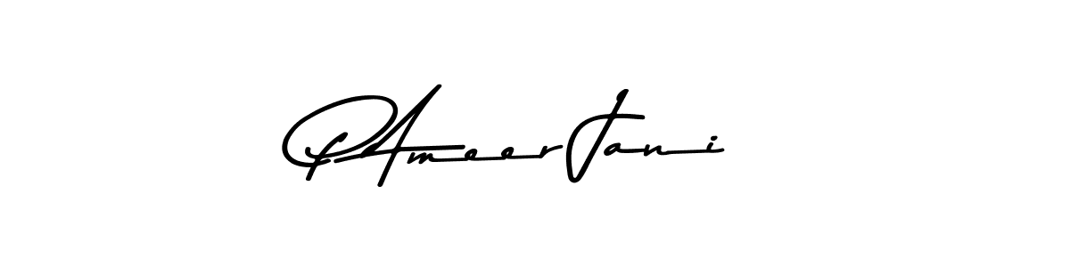 You should practise on your own different ways (Asem Kandis PERSONAL USE) to write your name (P Ameer Jani) in signature. don't let someone else do it for you. P Ameer Jani signature style 9 images and pictures png