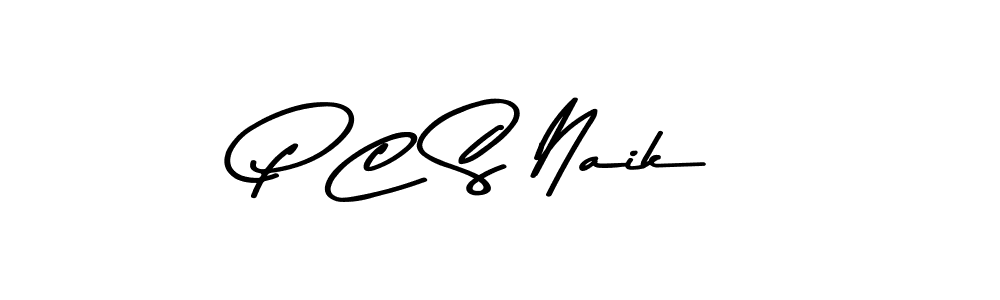 You should practise on your own different ways (Asem Kandis PERSONAL USE) to write your name (P C S Naik) in signature. don't let someone else do it for you. P C S Naik signature style 9 images and pictures png