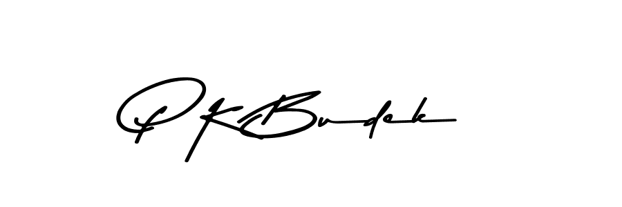 Here are the top 10 professional signature styles for the name P K Budek. These are the best autograph styles you can use for your name. P K Budek signature style 9 images and pictures png