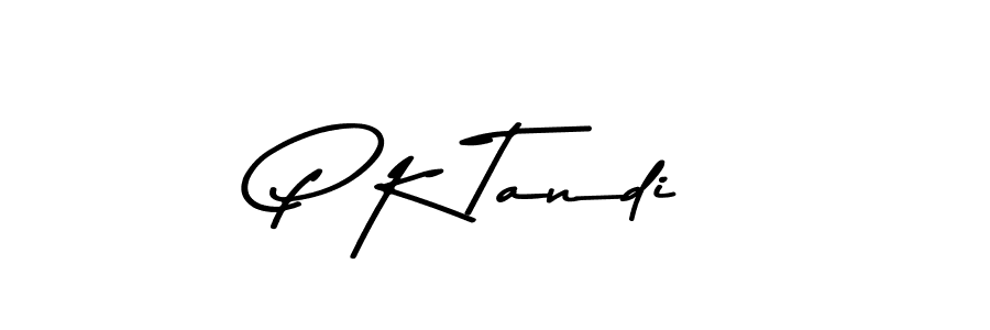 You should practise on your own different ways (Asem Kandis PERSONAL USE) to write your name (P K Tandi) in signature. don't let someone else do it for you. P K Tandi signature style 9 images and pictures png