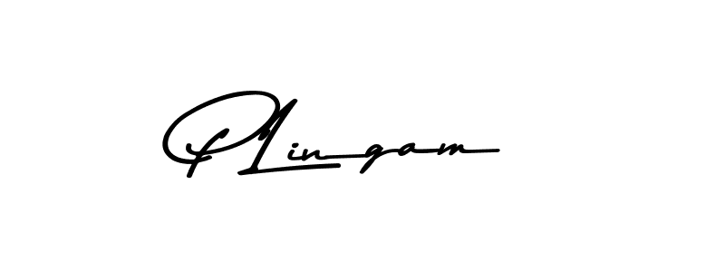 You should practise on your own different ways (Asem Kandis PERSONAL USE) to write your name (P Lingam) in signature. don't let someone else do it for you. P Lingam signature style 9 images and pictures png