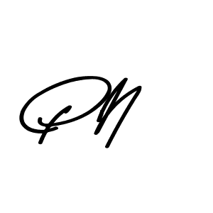 Make a beautiful signature design for name P N. Use this online signature maker to create a handwritten signature for free. P N signature style 9 images and pictures png