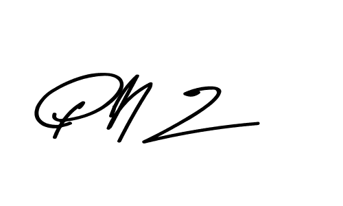 Best and Professional Signature Style for P N Z. Asem Kandis PERSONAL USE Best Signature Style Collection. P N Z signature style 9 images and pictures png