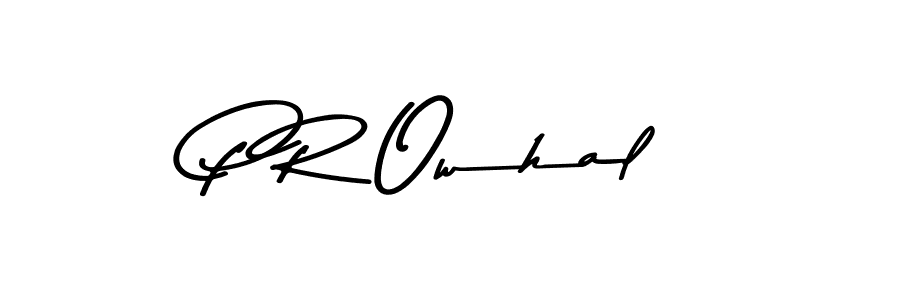 You should practise on your own different ways (Asem Kandis PERSONAL USE) to write your name (P R Owhal) in signature. don't let someone else do it for you. P R Owhal signature style 9 images and pictures png