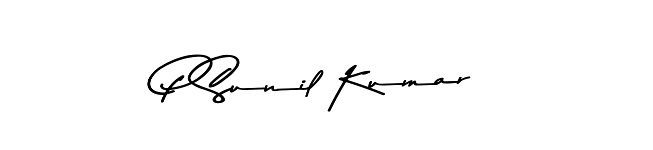 You should practise on your own different ways (Asem Kandis PERSONAL USE) to write your name (P Sunil Kumar) in signature. don't let someone else do it for you. P Sunil Kumar signature style 9 images and pictures png