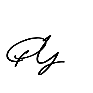 Make a beautiful signature design for name P Y. Use this online signature maker to create a handwritten signature for free. P Y signature style 9 images and pictures png