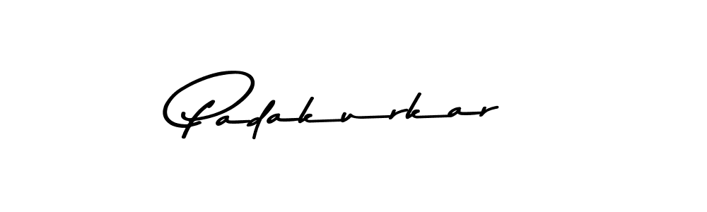 You should practise on your own different ways (Asem Kandis PERSONAL USE) to write your name (Padakurkar) in signature. don't let someone else do it for you. Padakurkar signature style 9 images and pictures png