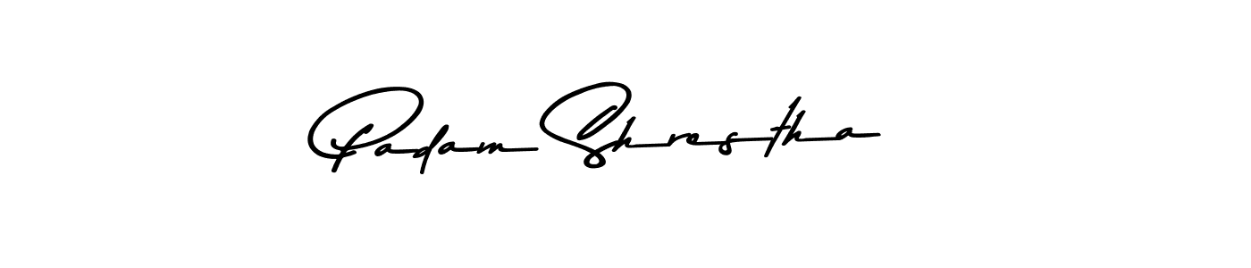 The best way (Asem Kandis PERSONAL USE) to make a short signature is to pick only two or three words in your name. The name Padam Shrestha include a total of six letters. For converting this name. Padam Shrestha signature style 9 images and pictures png