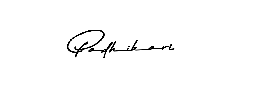 Use a signature maker to create a handwritten signature online. With this signature software, you can design (Asem Kandis PERSONAL USE) your own signature for name Padhikari. Padhikari signature style 9 images and pictures png