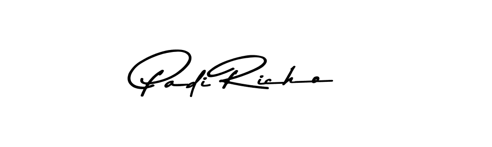 Here are the top 10 professional signature styles for the name Padi Richo. These are the best autograph styles you can use for your name. Padi Richo signature style 9 images and pictures png