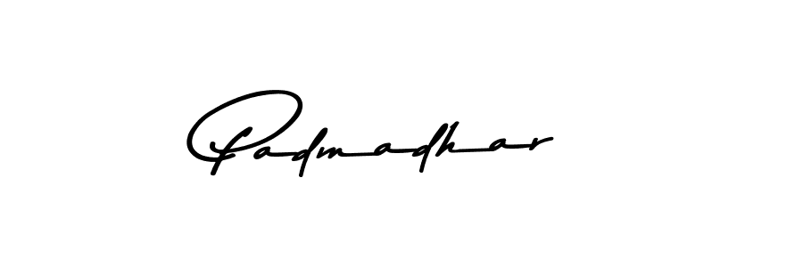 Also You can easily find your signature by using the search form. We will create Padmadhar name handwritten signature images for you free of cost using Asem Kandis PERSONAL USE sign style. Padmadhar signature style 9 images and pictures png