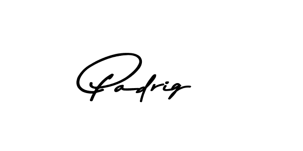 You should practise on your own different ways (Asem Kandis PERSONAL USE) to write your name (Padrig) in signature. don't let someone else do it for you. Padrig signature style 9 images and pictures png