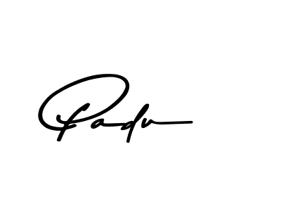 Here are the top 10 professional signature styles for the name Padu. These are the best autograph styles you can use for your name. Padu signature style 9 images and pictures png