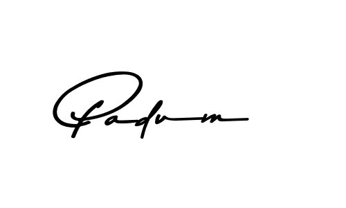 Best and Professional Signature Style for Padum. Asem Kandis PERSONAL USE Best Signature Style Collection. Padum signature style 9 images and pictures png