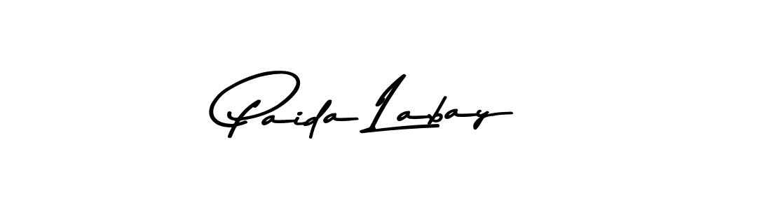 You should practise on your own different ways (Asem Kandis PERSONAL USE) to write your name (Paida Labay) in signature. don't let someone else do it for you. Paida Labay signature style 9 images and pictures png