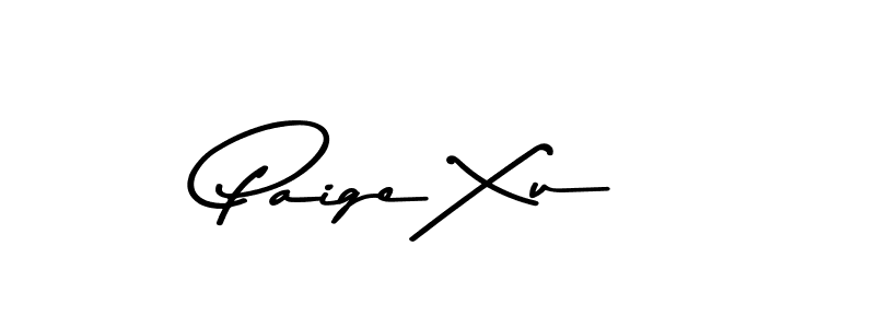 You should practise on your own different ways (Asem Kandis PERSONAL USE) to write your name (Paige Xu) in signature. don't let someone else do it for you. Paige Xu signature style 9 images and pictures png