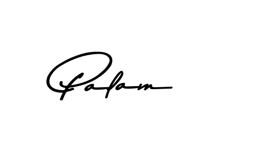 Similarly Asem Kandis PERSONAL USE is the best handwritten signature design. Signature creator online .You can use it as an online autograph creator for name Palam. Palam signature style 9 images and pictures png