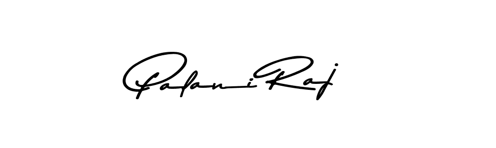 You should practise on your own different ways (Asem Kandis PERSONAL USE) to write your name (Palani Raj) in signature. don't let someone else do it for you. Palani Raj signature style 9 images and pictures png