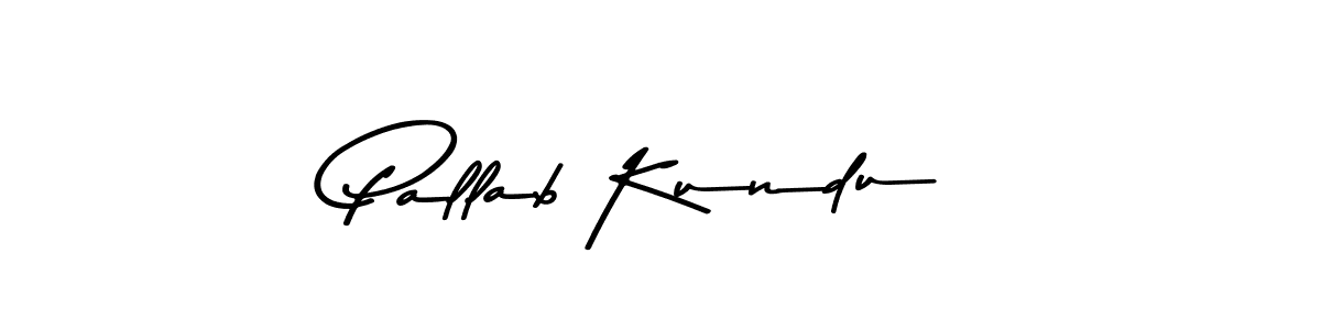Pallab Kundu stylish signature style. Best Handwritten Sign (Asem Kandis PERSONAL USE) for my name. Handwritten Signature Collection Ideas for my name Pallab Kundu. Pallab Kundu signature style 9 images and pictures png