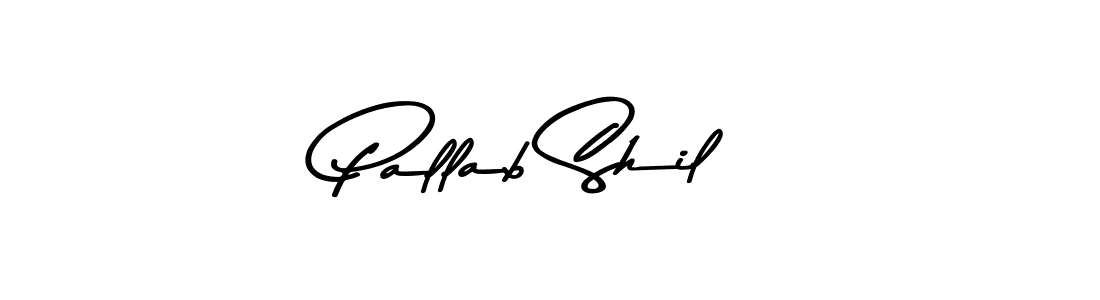 Asem Kandis PERSONAL USE is a professional signature style that is perfect for those who want to add a touch of class to their signature. It is also a great choice for those who want to make their signature more unique. Get Pallab Shil name to fancy signature for free. Pallab Shil signature style 9 images and pictures png
