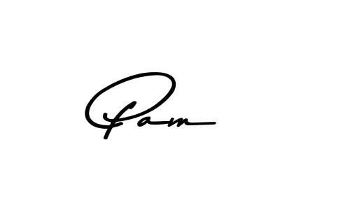 You should practise on your own different ways (Asem Kandis PERSONAL USE) to write your name (Pamé) in signature. don't let someone else do it for you. Pamé signature style 9 images and pictures png