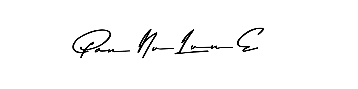 You should practise on your own different ways (Asem Kandis PERSONAL USE) to write your name (Pan Nu Lun E) in signature. don't let someone else do it for you. Pan Nu Lun E signature style 9 images and pictures png