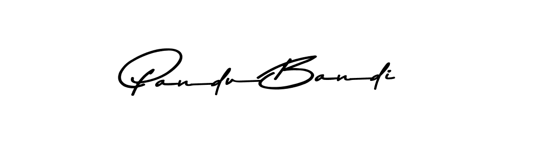 Similarly Asem Kandis PERSONAL USE is the best handwritten signature design. Signature creator online .You can use it as an online autograph creator for name Pandu Bandi. Pandu Bandi signature style 9 images and pictures png