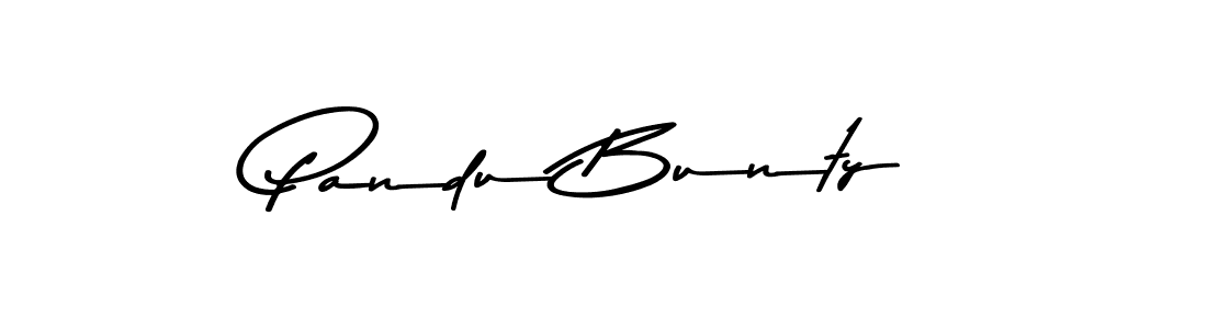 Similarly Asem Kandis PERSONAL USE is the best handwritten signature design. Signature creator online .You can use it as an online autograph creator for name Pandu Bunty. Pandu Bunty signature style 9 images and pictures png