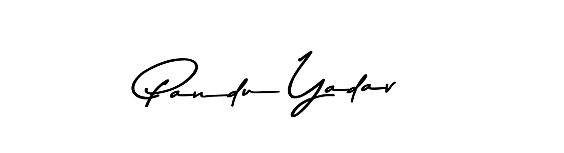 Design your own signature with our free online signature maker. With this signature software, you can create a handwritten (Asem Kandis PERSONAL USE) signature for name Pandu Yadav. Pandu Yadav signature style 9 images and pictures png