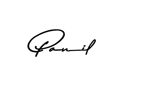 You should practise on your own different ways (Asem Kandis PERSONAL USE) to write your name (Panil) in signature. don't let someone else do it for you. Panil signature style 9 images and pictures png