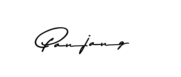 You can use this online signature creator to create a handwritten signature for the name Panjang. This is the best online autograph maker. Panjang signature style 9 images and pictures png