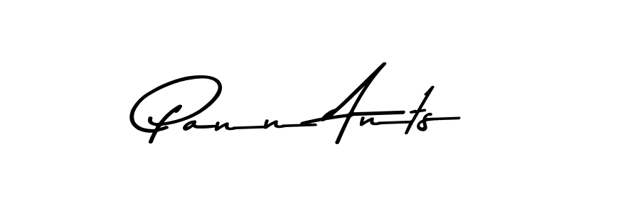 You should practise on your own different ways (Asem Kandis PERSONAL USE) to write your name (Pann Ants) in signature. don't let someone else do it for you. Pann Ants signature style 9 images and pictures png