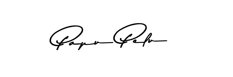 You should practise on your own different ways (Asem Kandis PERSONAL USE) to write your name (Papu Pelu) in signature. don't let someone else do it for you. Papu Pelu signature style 9 images and pictures png