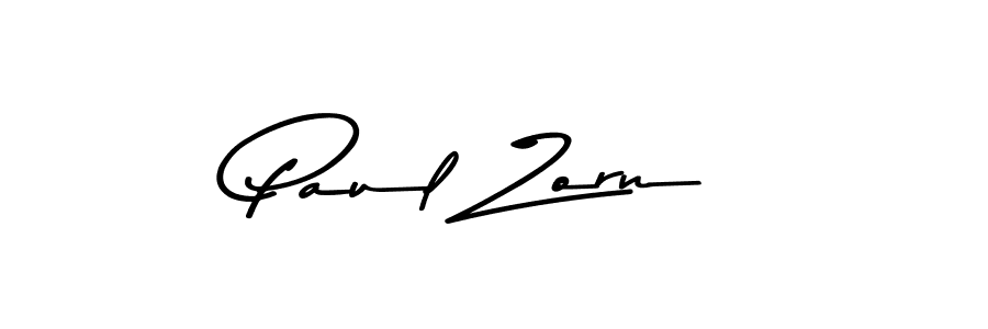Best and Professional Signature Style for Paul Zorn. Asem Kandis PERSONAL USE Best Signature Style Collection. Paul Zorn signature style 9 images and pictures png